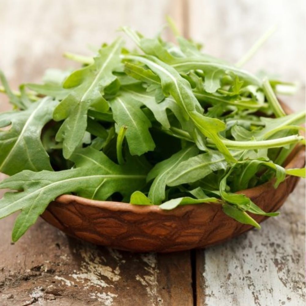 Arugula Seeds Rocket Leafy Green 700 Count Fast Growing Garden Variety
