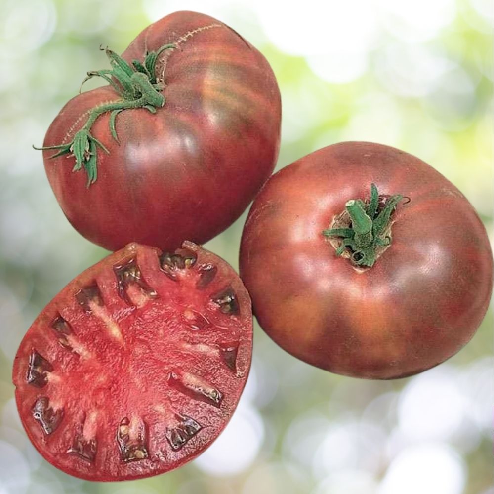 Cherokee Purple Tomato Seeds Heirloom NON-GMO 500 Seeds Fast Shipping