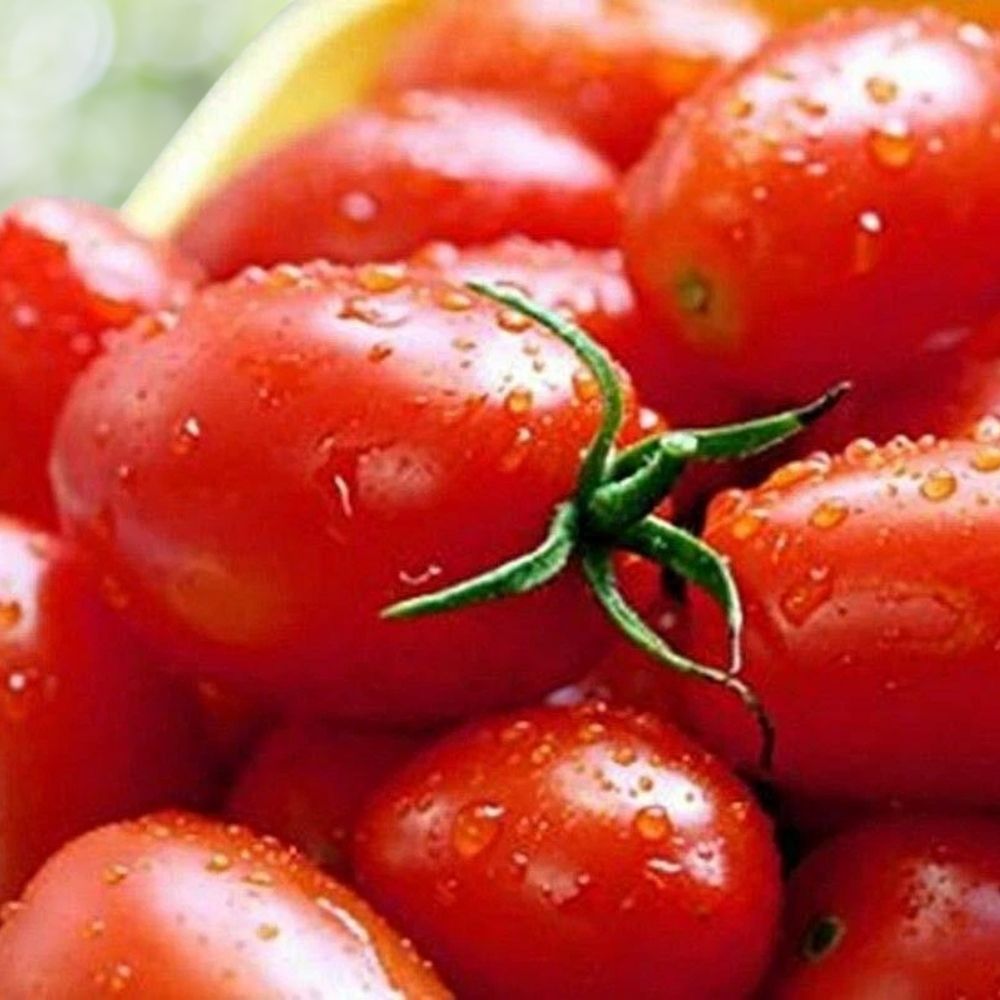500 Crovarese Italian Grape Tomato Seeds NON-GMO Heirloom Fast Shipping