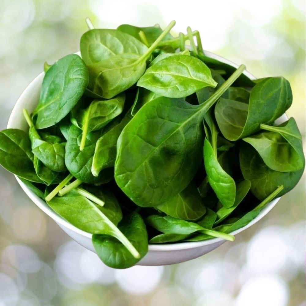 Giant Noble Spinach Seeds 31000+ Heirloom Vegetable Garden Fast Shipping