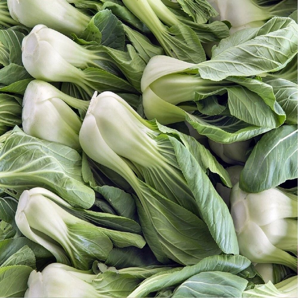 800 Bok Choy Cabbage Seeds | Non-GMO