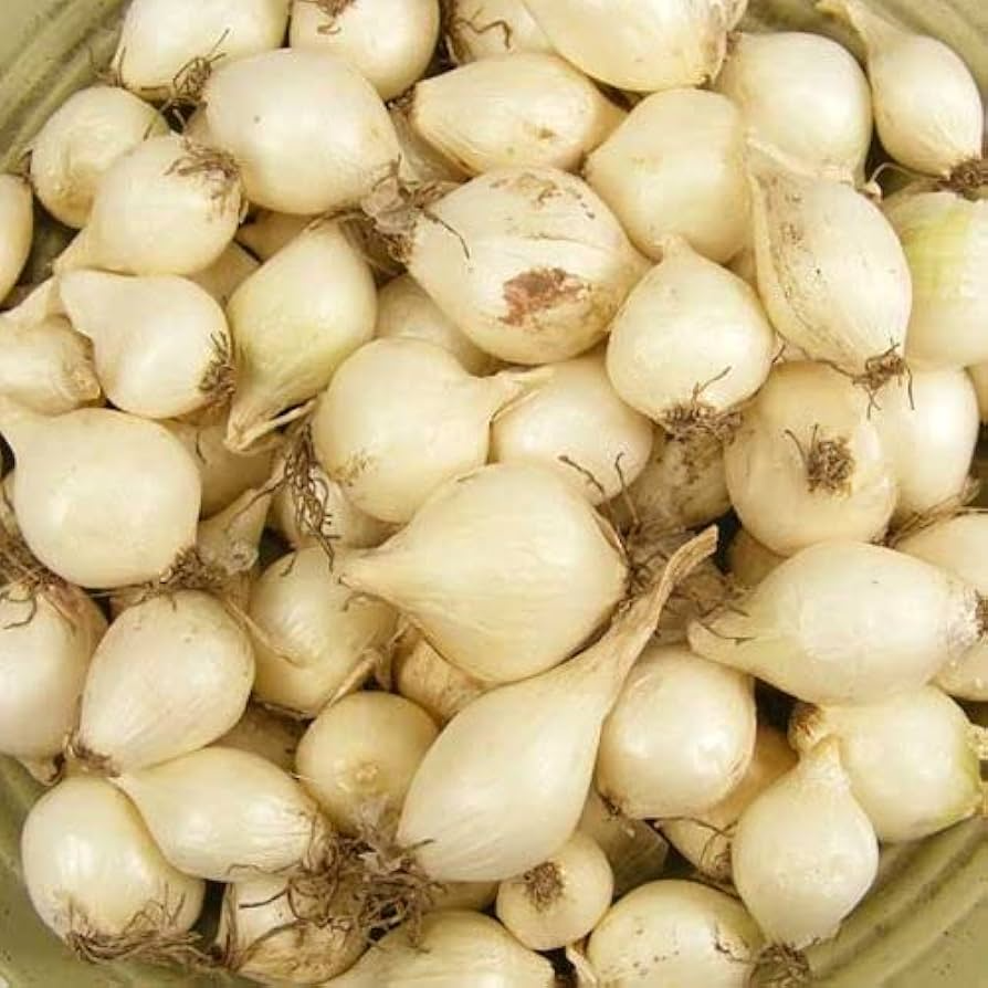 White Onion Sets β Naturally Grown, Non-GMO | 8 oz. (40-60 Bulbs) | Easy to Grow & Store | Shipping Now