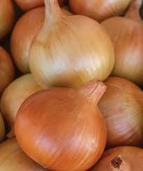 500+ Patterson Onion Seeds – High Yield, USA Grown – for Your Garden