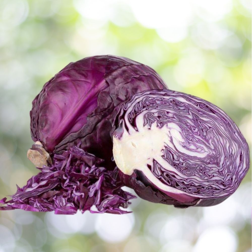 250 Cabbage Red Acre Vegetable Seeds