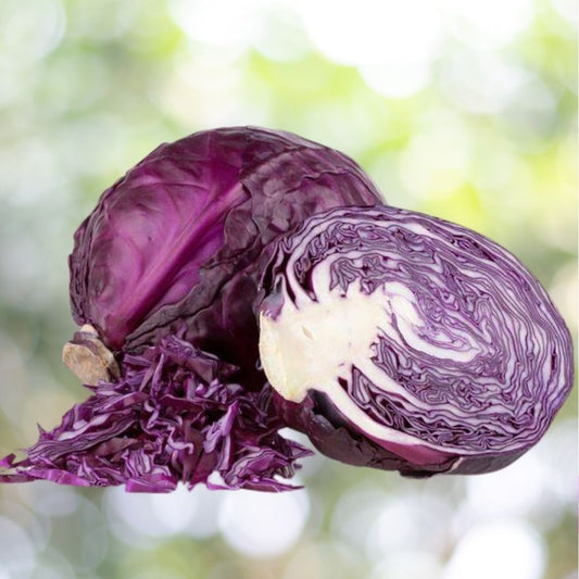 250 Cabbage Red Acre Vegetable Seeds