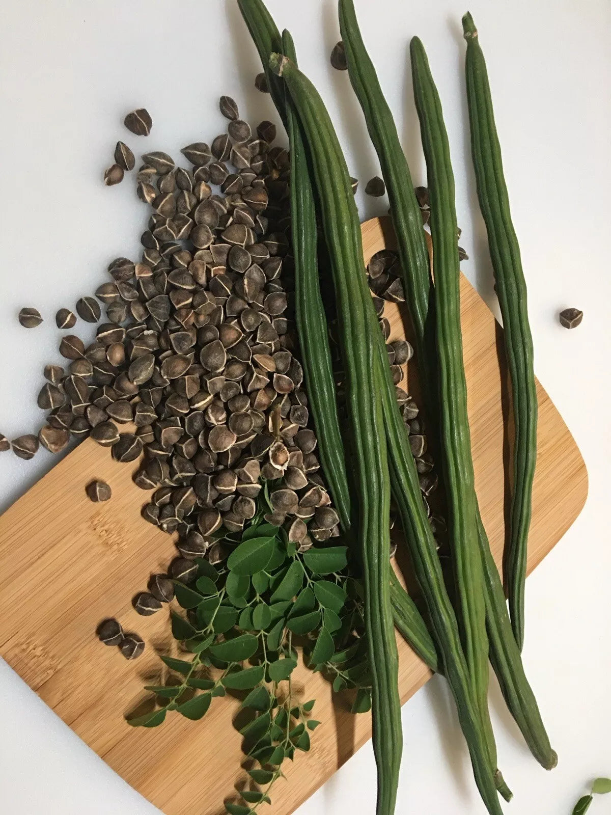 Organic Moringa Oleifera Seeds - 100+ Non-GMO Drumstick Malunggay Seeds - Buy 2 Get 1 Free