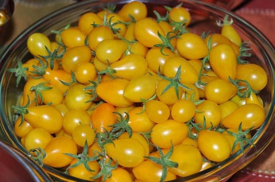 Yellow Pear Tomato Seeds - Heirloom - NON-GMO - 2.40+ Seeds - Solanum lycopersicum