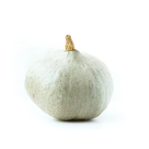 Blue Ballet Squash Seeds - 25+ Pack - Heirloom Variety - Cucurbita pepo - Garden Planting - USA