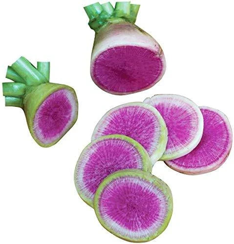 Watermelon Radish Seeds - 250+ Seeds - Exotic Vegetable for Planting - Raphanus sativus var. radicola