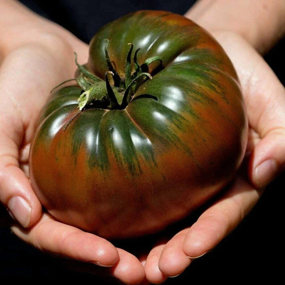 Russian Black Krim Tomato Seeds - 60+ Count - Non-GMO, Organic, Heirloom - Solanum lycopersicum