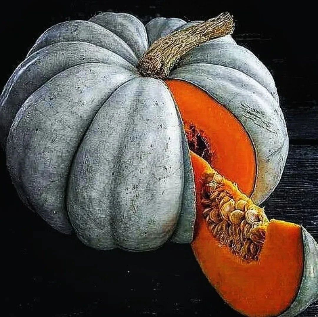 Jarrahdale Blue Pumpkin Seeds - 15 Fresh Seeds - Queensland Cinderella Doll - Cucurbita maxima
