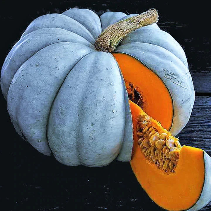 Jarrahdale Blue Pumpkin Seeds - Winter Squash Variety for 2025 Planting - Cucurbita maxima