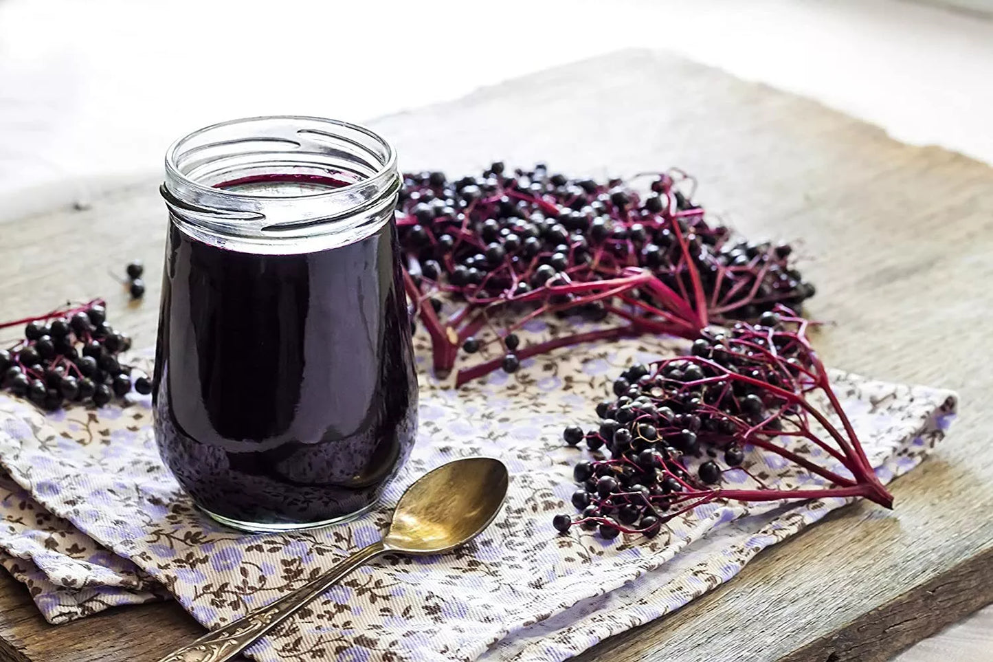 Fresh Elderberry Cuttings - 24 Pack - Black-Bearing Variety - Sambucus nigra