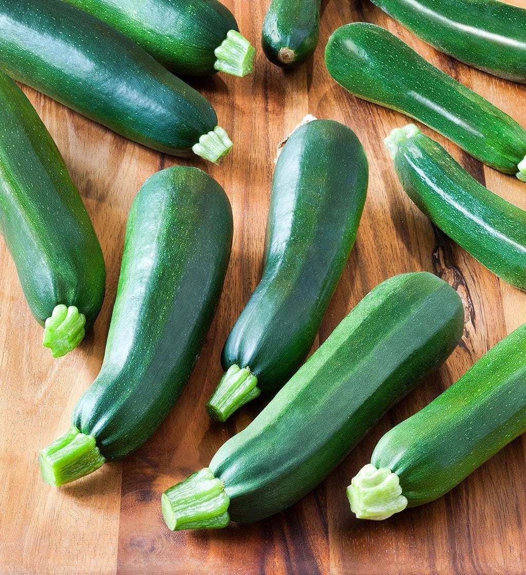 Zucchini Seeds Black Beauty Organic | 50+ Non-GMO Heirloom Seeds | Cucurbita pepo