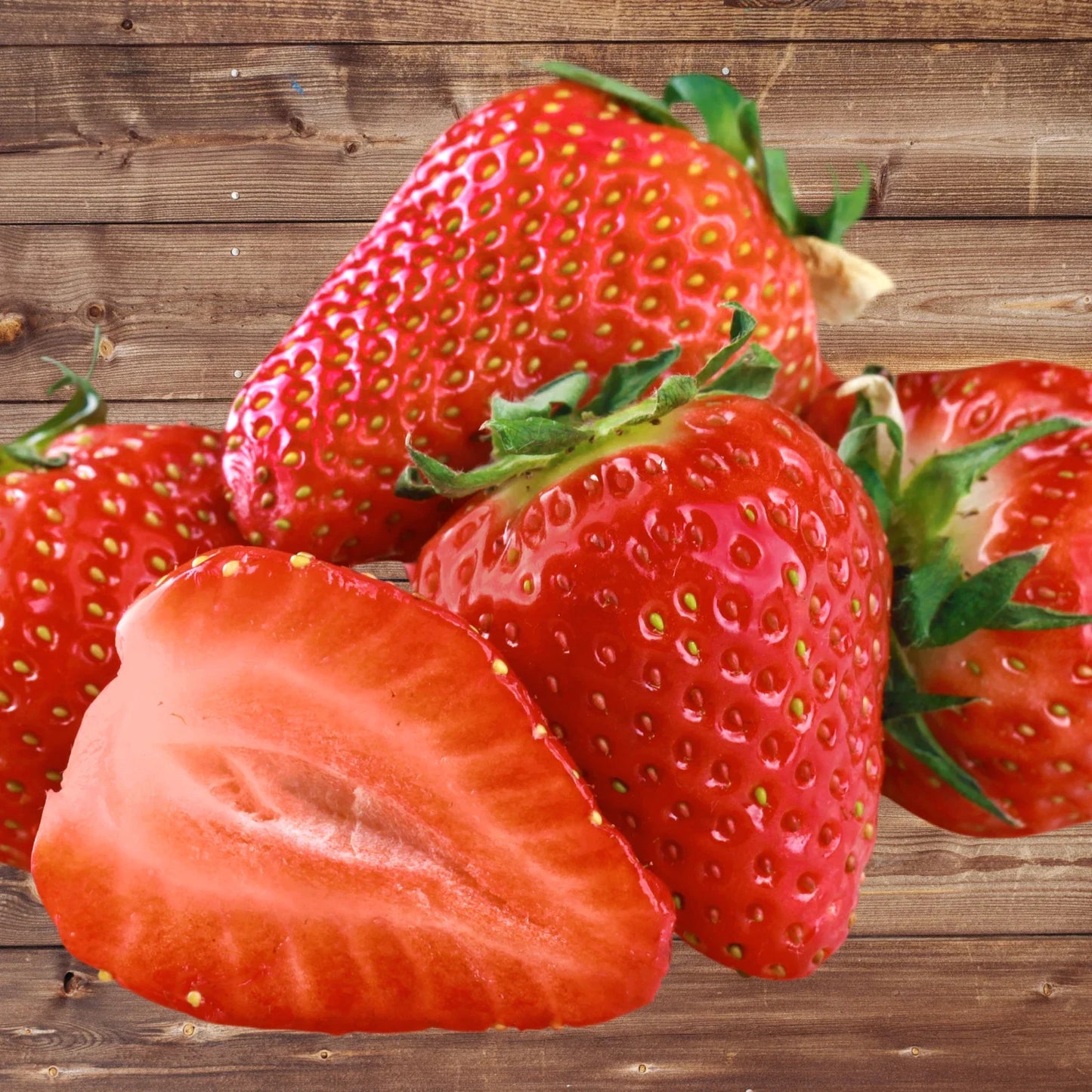 Seascape Strawberry Roots – Bare Root Plants | Ever-Bearing Strawberry (Fragaria × ananassa)