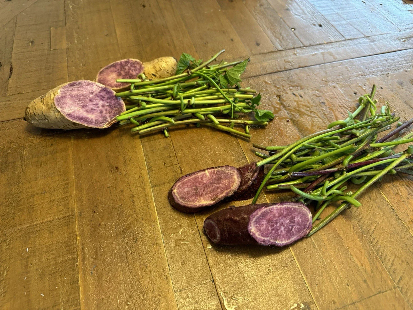Sweet Potato Slip Cuttings - 20 Molokai & 20 Okinawa Varieties - Purple Potato - Ipomoea batatas