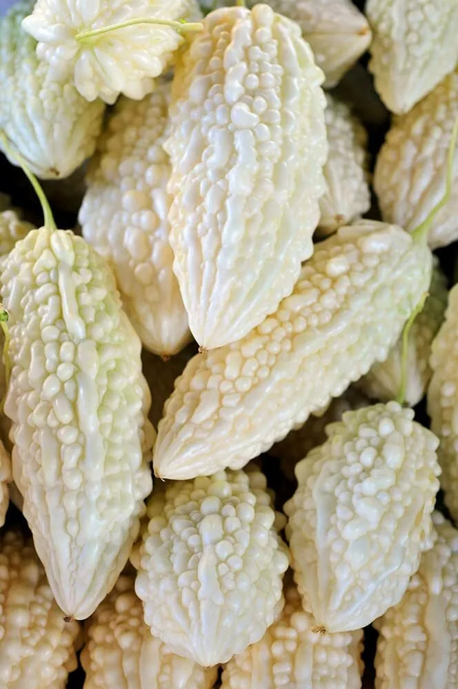 Exotic Bitter Gourd Seeds - 10 Pack, White Variety, Bitter Melon (Momordica charantia) for Planting