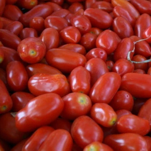San Marzano Tomato Seeds - Heirloom Non-GMO (Indeterminate) | Organic Vegetable Seeds for Home Gardening