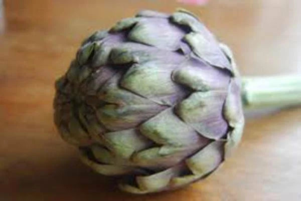 Artichoke Seeds, 20+ Heirloom Green Globe Seeds, Healthy Tasty Veggie, Cynara scolymus