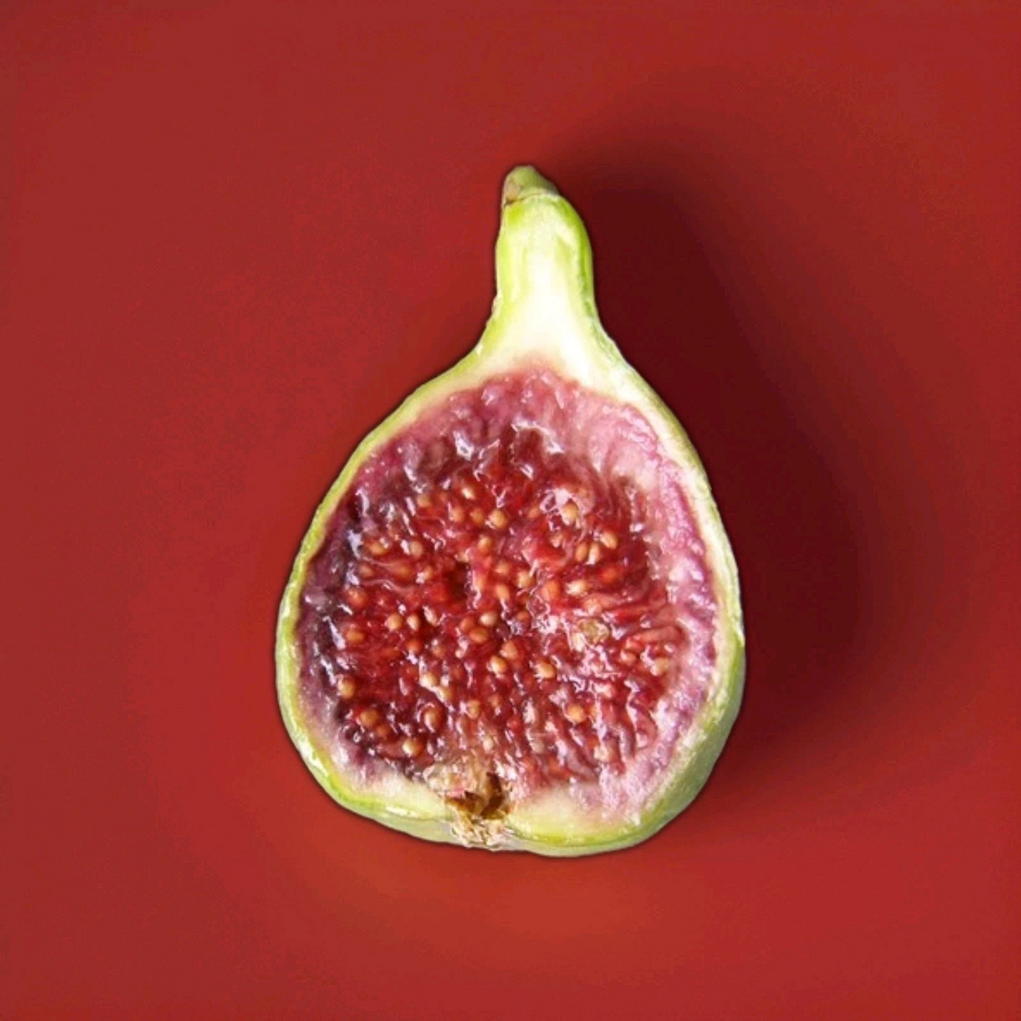 Strawberry Verte Fig Cutting Live, 6 to 8 Inch Unrooted Fig Cutting for Rooting or Grafting