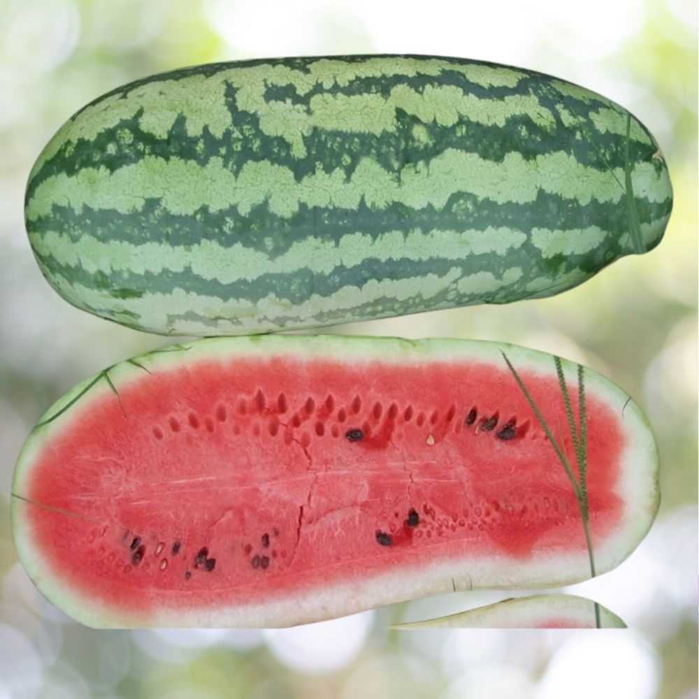 75 Giant Jubilee Watermelon Seeds | Non-GMO Heirloom | Fast Shipping