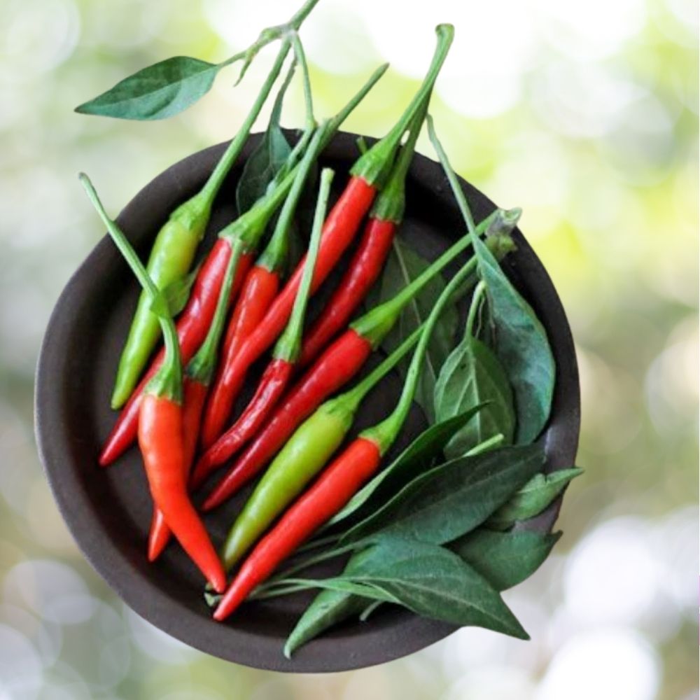 250+ Prik-Mun Thai Pepper Seeds | Non-GMO | Heirloom Variety | Fast Shipping