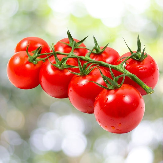 1000 Cherry Tomato Seeds - Sweet Red Cherry, Heirloom, Non-GMO, Easy Grow