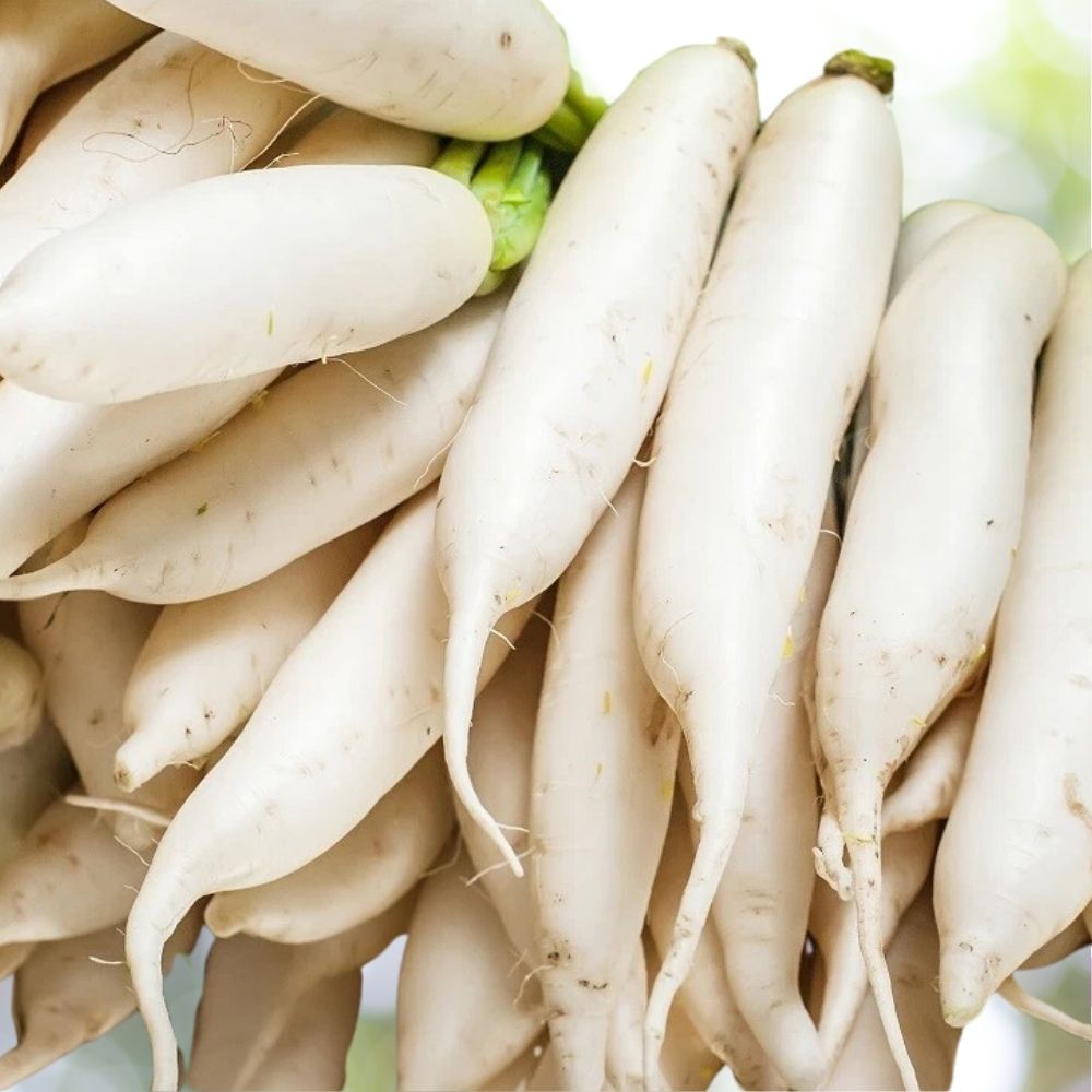 200 Radish Seeds - Fast Growing Heirloom Non GMO Vegetable Garden