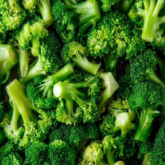 1000 Organic Broccoli Seeds | Non-GMO