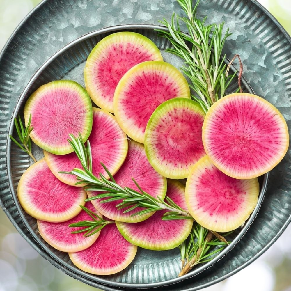 400 Watermelon Radish Seeds | Non-GMO Heirloom Vegetable