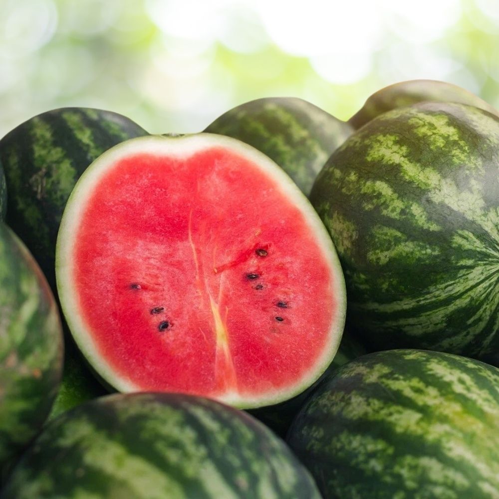 30 Greybelle Watermelon Seeds | Non-GMO