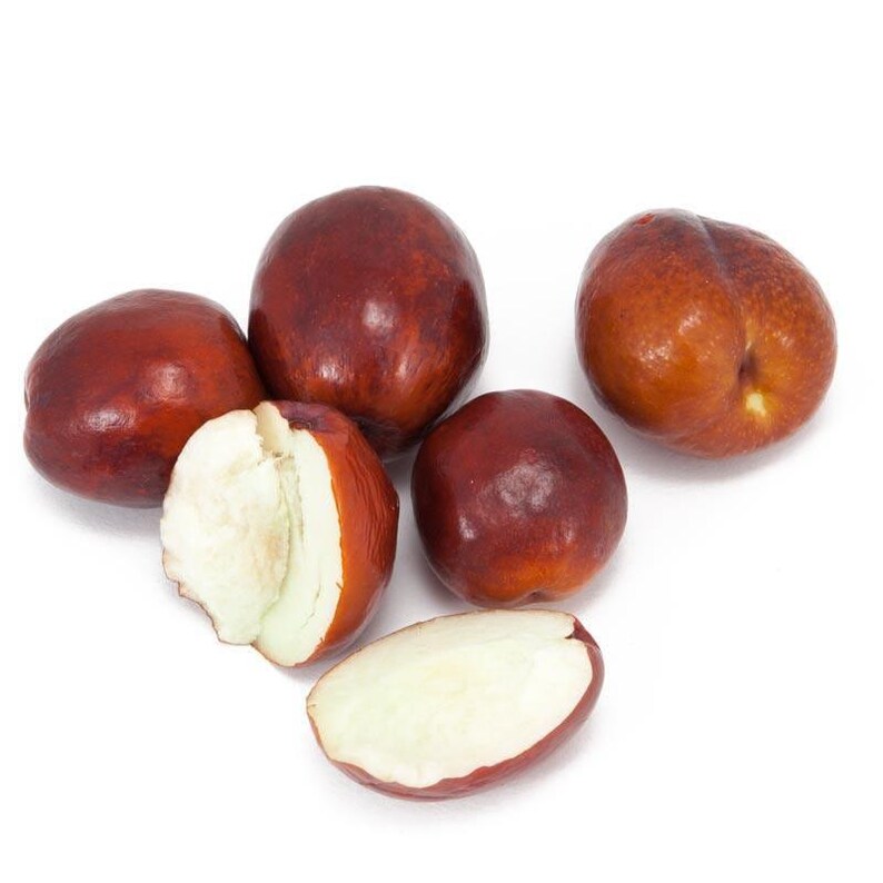 Li Jujube Tree - 3 to 4 Feet - Grafted - Larger Fruit - Ziziphus jujuba - Ships in 3 Gallon Pot - Zones 5-10
