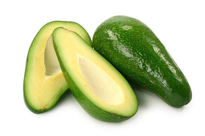 Fuerte Avocado Tree - 1 ft Grafted Plant in 6" Pot - Avocado Tree - Persea americana