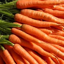 Tendersweet Carrot Seeds 300 Count Heirloom Vegetable Variety for Home Gardens