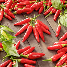 250 mg Tabasco Hot Pepper Seeds - Capsicum frutescens | Heirloom Pepper for Planting, Spicy Cooking & Hot Sauce | Fiery Flavor