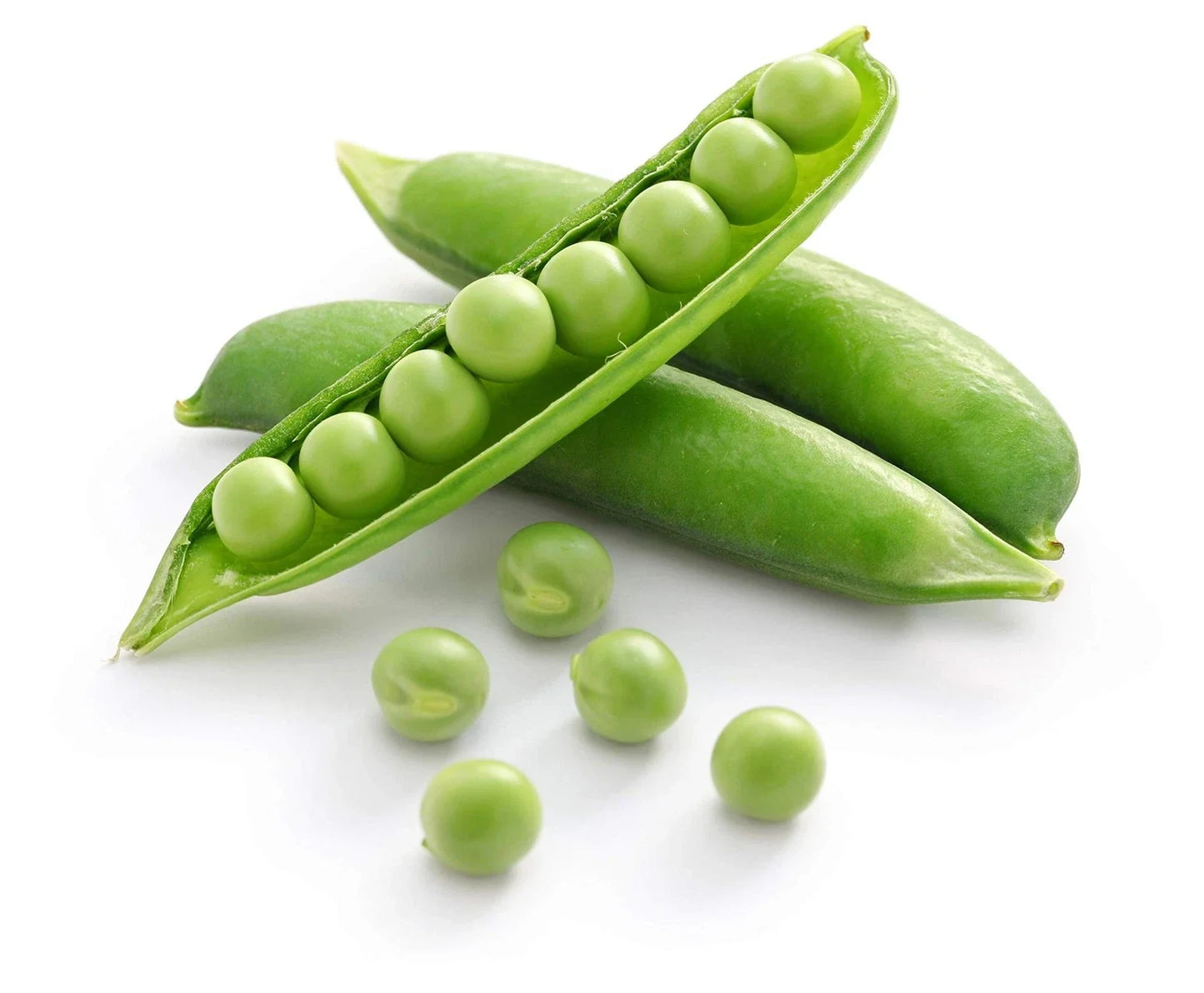 Sweet Pea Seeds 25+ Count | Edible Sweet Peas | Lathyrus odoratus