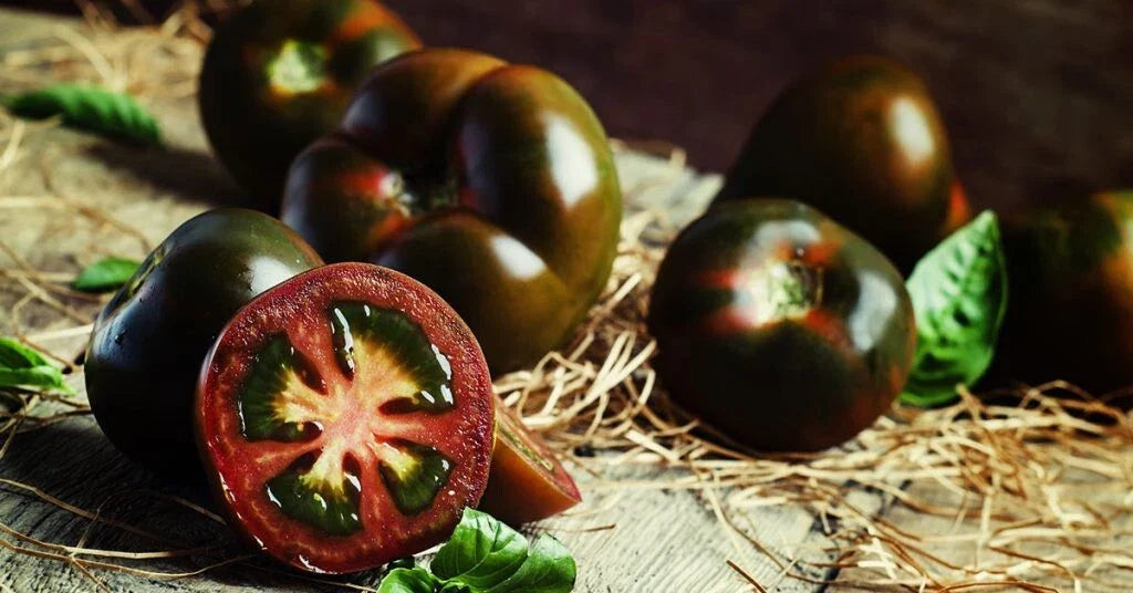 Black Truffle Tomato Seeds - 10+ Heirloom, Organic, Non-GMO - Rare Variety - Perfect for Gardeners