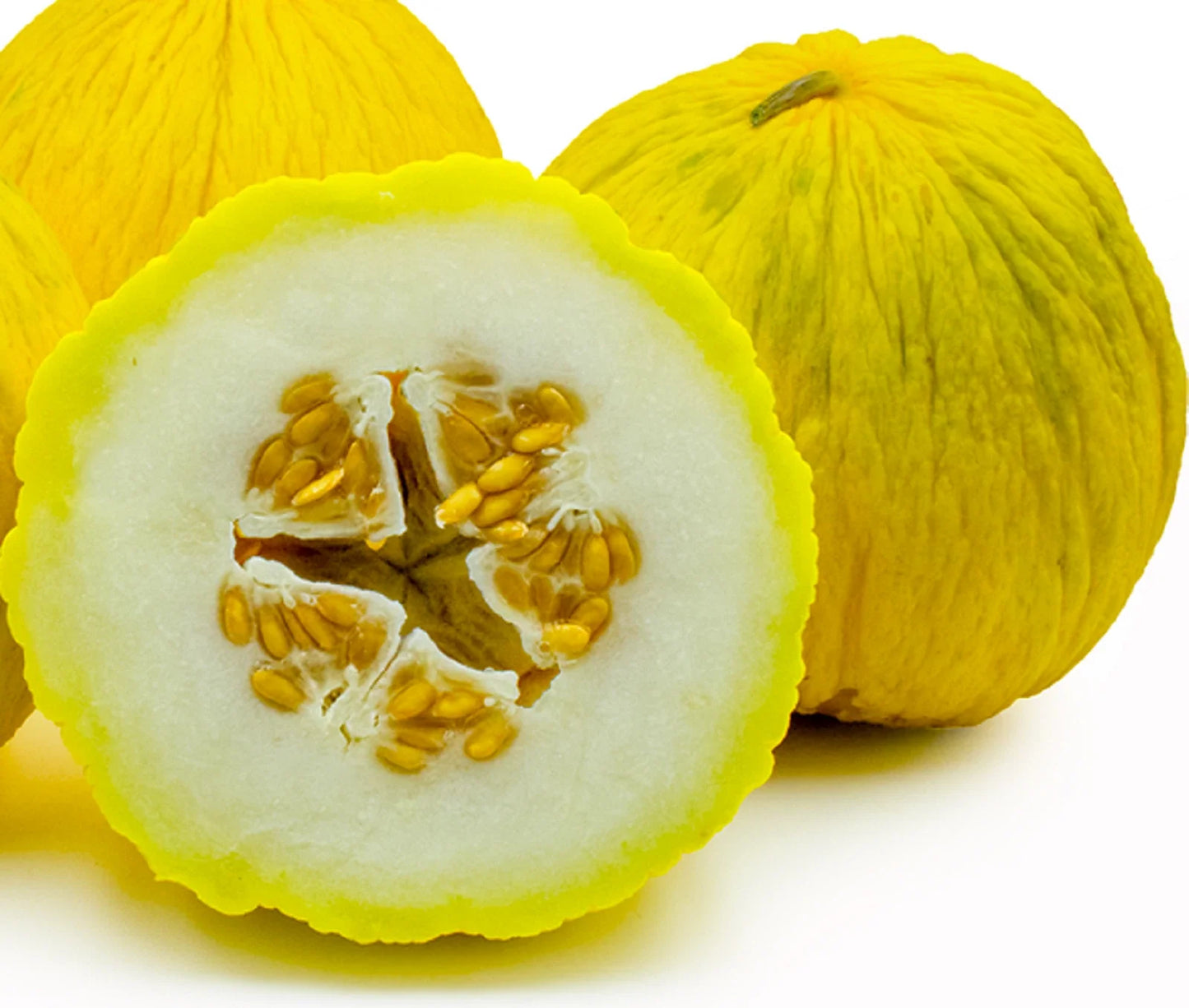 Golden Beauty Casaba Melon Seeds - 30 Non-GMO Seeds - Heirloom Variety - Cucumis melo