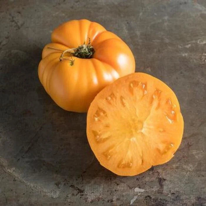 Yellow Brandywine Tomato Seeds - 10+ Heirloom Organic Non-GMO - Lycopersicon lycopersicum