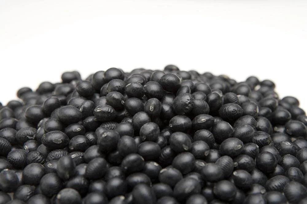 Black Soybean Seeds for Planting - Organic Non-GMO, Edamame Variety, Glycine max