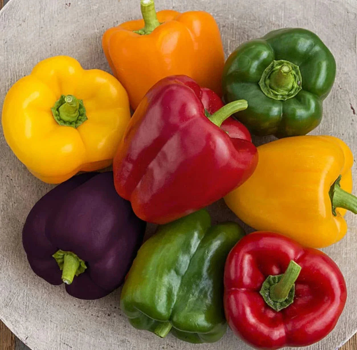 Rainbow Blend Sweet Bell Pepper Seeds - 300+ Seeds for Planting - Capsicum annuum