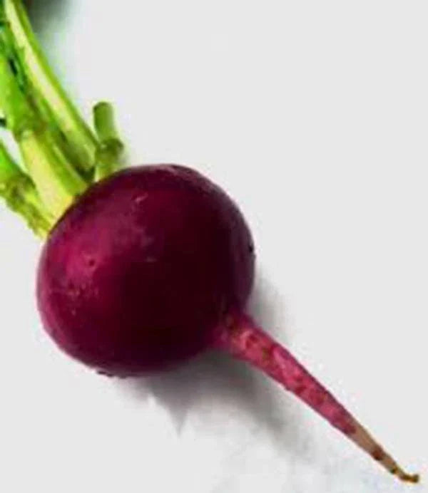 Heirloom Beet Seeds - Early Wonder Variety - Non-GMO - 25+ Great Tasting Seeds - Beta vulgaris