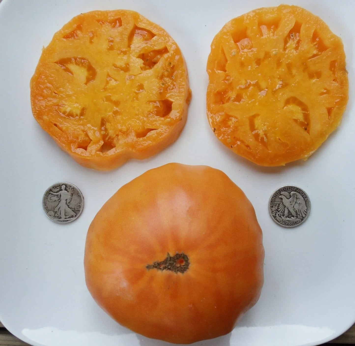Fresh Tomato Seeds - 25 Pack - Kellogg's Breakfast - Solanum lycopersicum - Buy 3 Varieties, Get 20% Off Entire Order