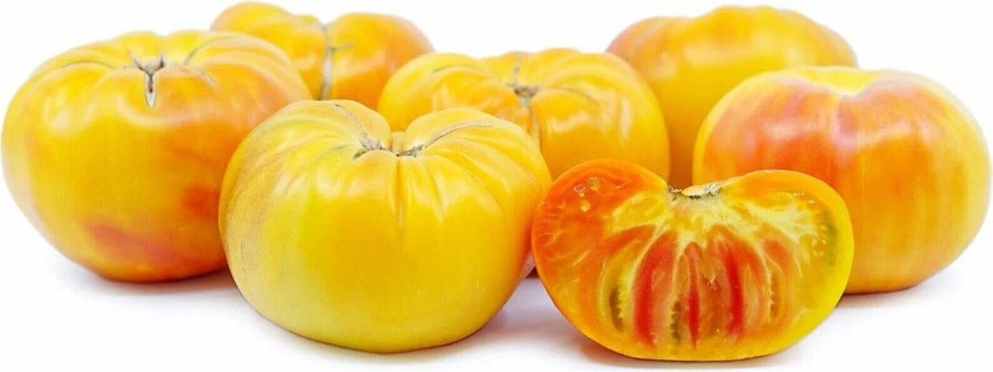 Pineapple Tomato Seeds - 30+ Heirloom Organic NON-GMO - Rare Variety - Solanum lycopersicum