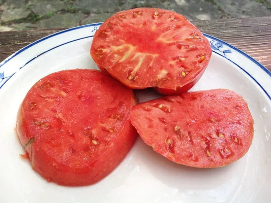 German Johnson Tomato Seeds - 120+ Non-GMO Heirloom Organic Seeds - Perfect for Home Gardening - Solanum lycopersicum