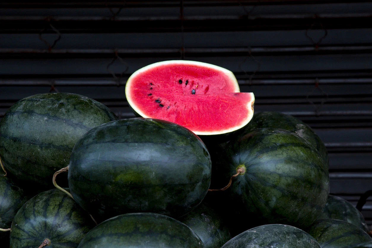 Florida Giant Watermelon Seeds, 10 Count, Black Diamond Variety, Citrullus lanatus