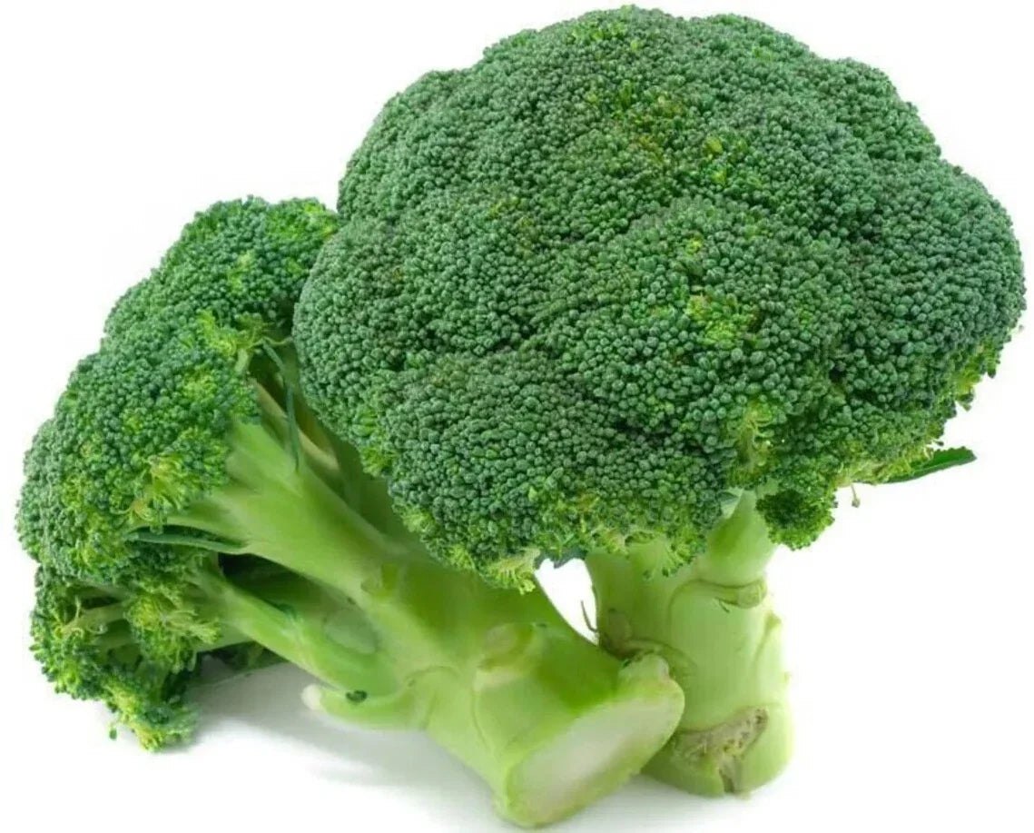 Broccoli Seeds 1000+ Heirloom Organic Non-GMO Waltham 29 - Fresh Vegetable Seeds for Gardening