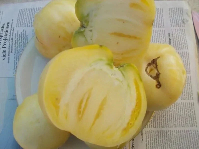 Great White Tomato Seeds - Heirloom Organic - Rare Beefsteak Variety - 30+ Seeds