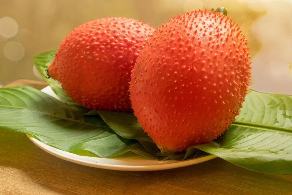 Rare Gac Melon Seeds - 5 Pack, Bright Spiky Fruit, Compact Vines, Momordica cochinchinensis