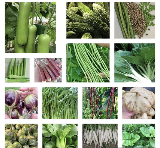 20 Packets Asian Vegetable Seeds - Non-GMO for Planting - Variety of Edible Plants for Home Garden